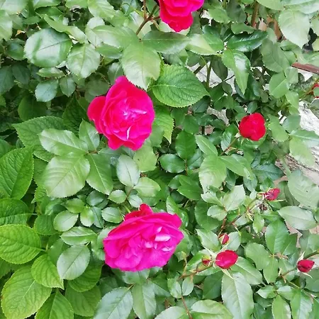 아파트 Au Bord De L'eure *